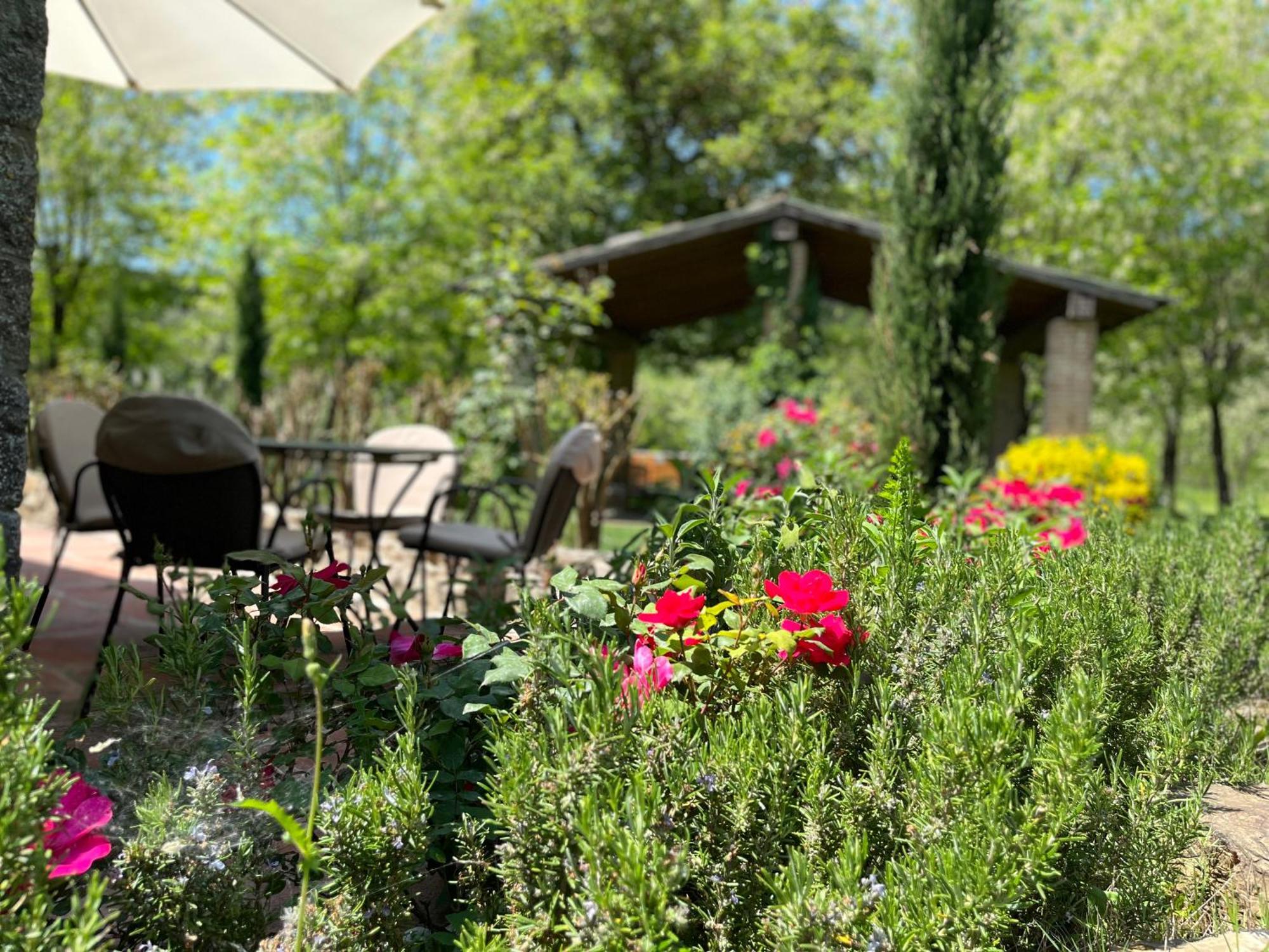 카이오레인챠안티 Mulino In Chianti 아파트 외부 사진