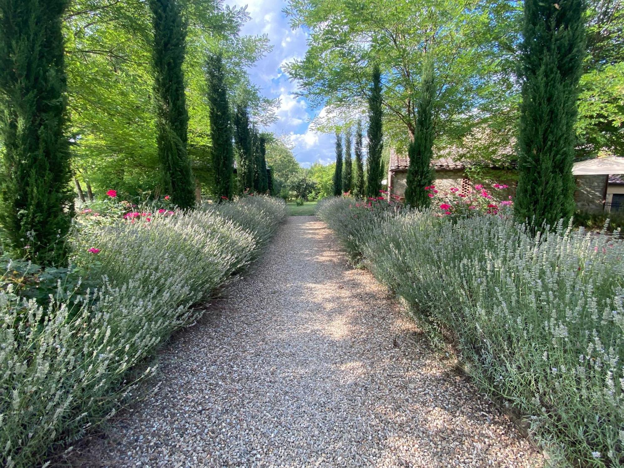 카이오레인챠안티 Mulino In Chianti 아파트 외부 사진